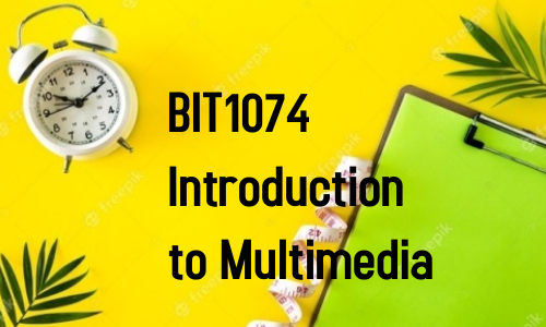 BIT 1074 Multimedia