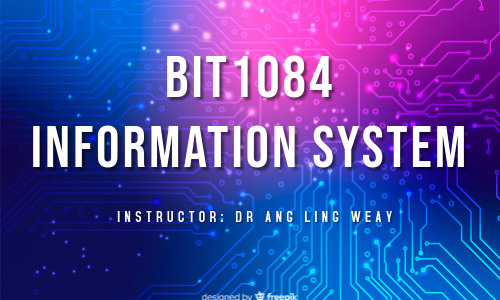 BIT1084 Information System